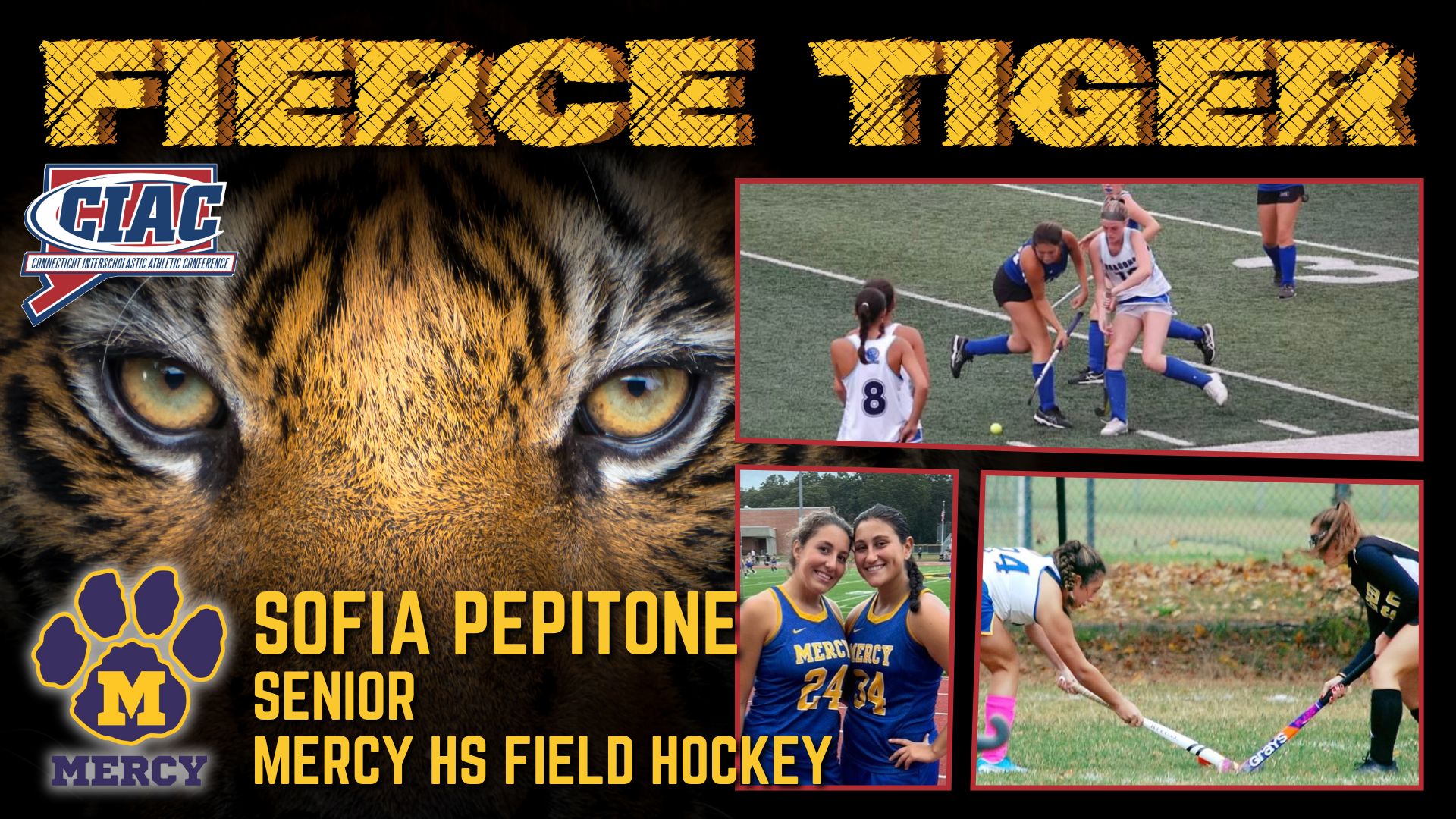 Fierce Tiger - Sofia Pepitone